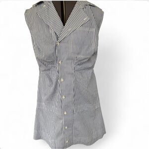 Derek Lam Satina Blue and White Striped Shirt